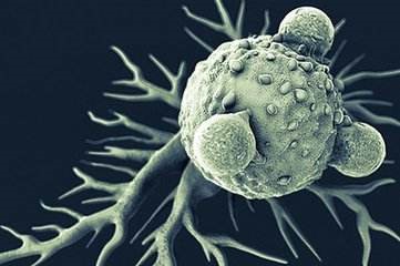地西他濱：一個非典型、多才多藝的抗癌藥，實體瘤控制率突破75%